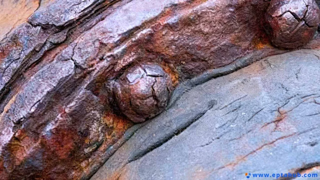 Eine Nahaufnahme von stark verrostetem und narbigem Eisen, die die Art von zerstörerischer Korrosion veranschaulicht, die durch Edelstahl, insbesondere die Sorten 304 und 316, verhindert werden soll.
