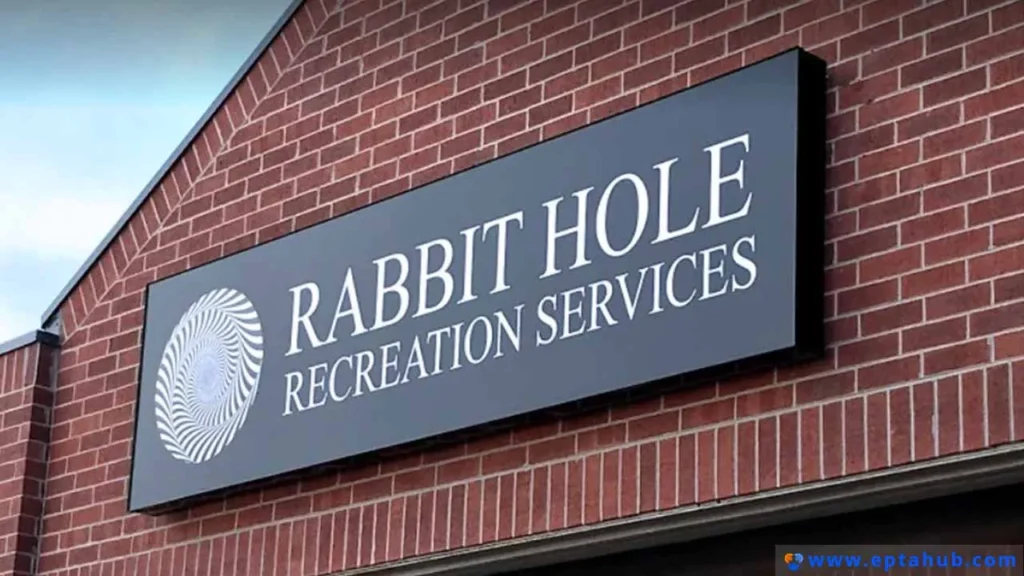 A professional, modern lightbox sign for 'Rabbit Hole Recreation Services' mounted on an exterior brick wall, representing a common type of illuminated commercial metal signage.
